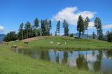 06-2015 RIFUGIO VENINI - 18